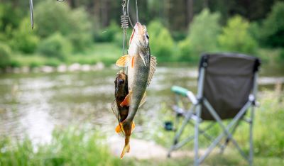 fish hanging on hooks