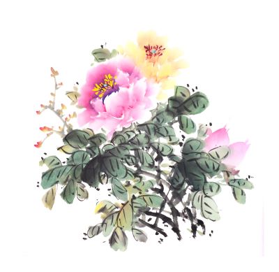 drawing of a flower
