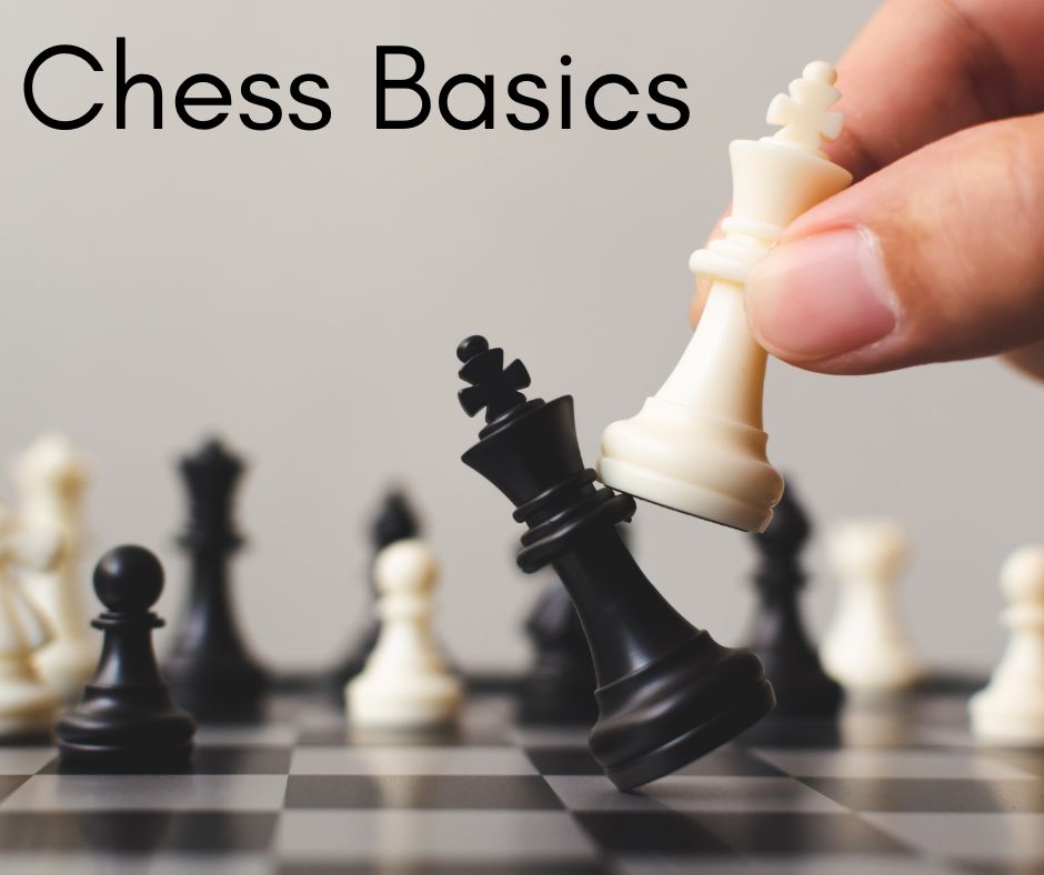 instructor teaching a Beginner Chinese class