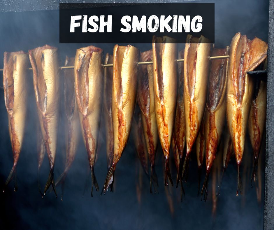 fish hanging from a hook